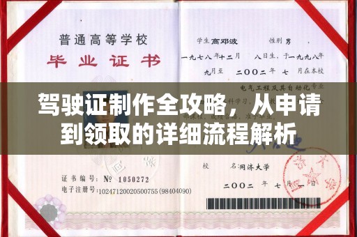 阿拉善盟驾驶证制作全攻略，从申请到领取的详细流程解析